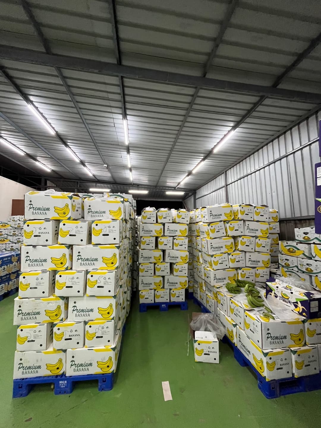 G9 Banana Shipment – Afghanistan